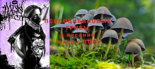 a pvp Алзамай