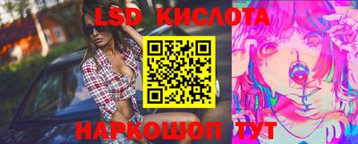 ешки Кингисепп
