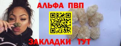 ешки Кингисепп