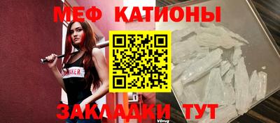 ешки Кингисепп