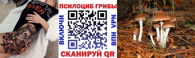 Галлюциногенные грибы MAGIC MUSHROOMS  наркошоп  Лабытнанги 