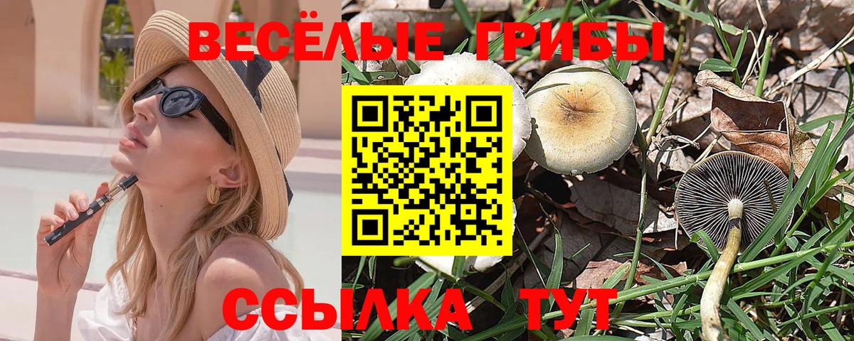 Лабытнанги  Галлюциногенные грибы прущие грибы  закладка  Вход с VPN 