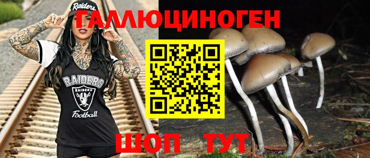Галлюциногенные грибы MAGIC MUSHROOMS Лабытнанги