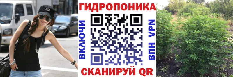 МАРИХУАНА план  сайты даркнета наркотические препараты  Лабытнанги  ссылка на мегу онион 